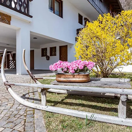 Tatil Evi Lioda Living Pieve di Cadore